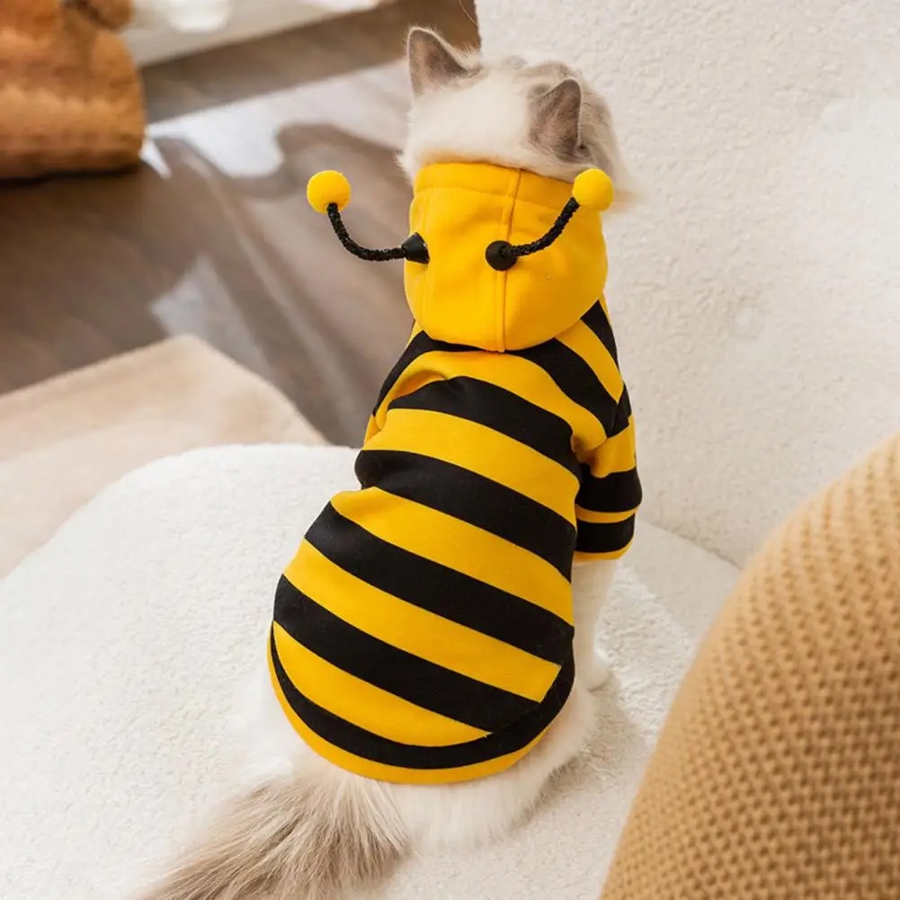 Pet Cats Clothes Kitten Stuff  - Winter Clothing Accessories reseña y precio