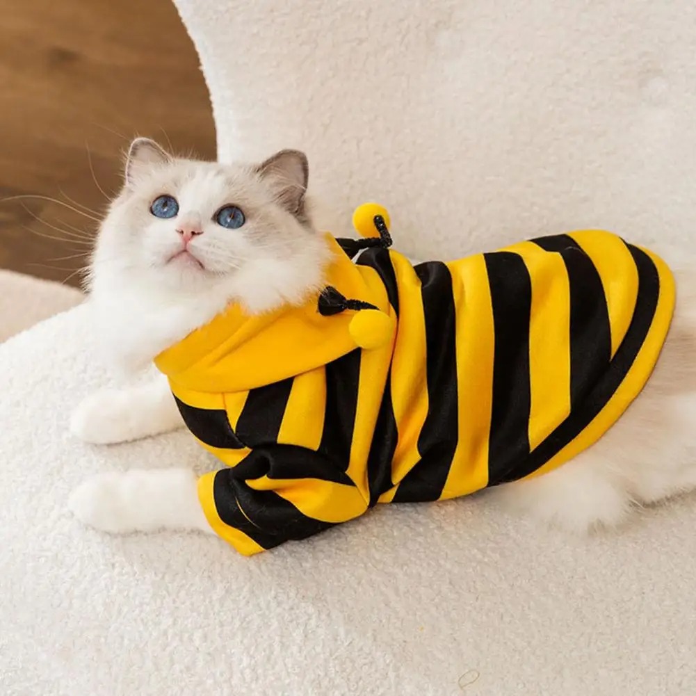 Pet Cats Clothes Kitten Stuff  - Winter Clothing Accessories reseña y precio