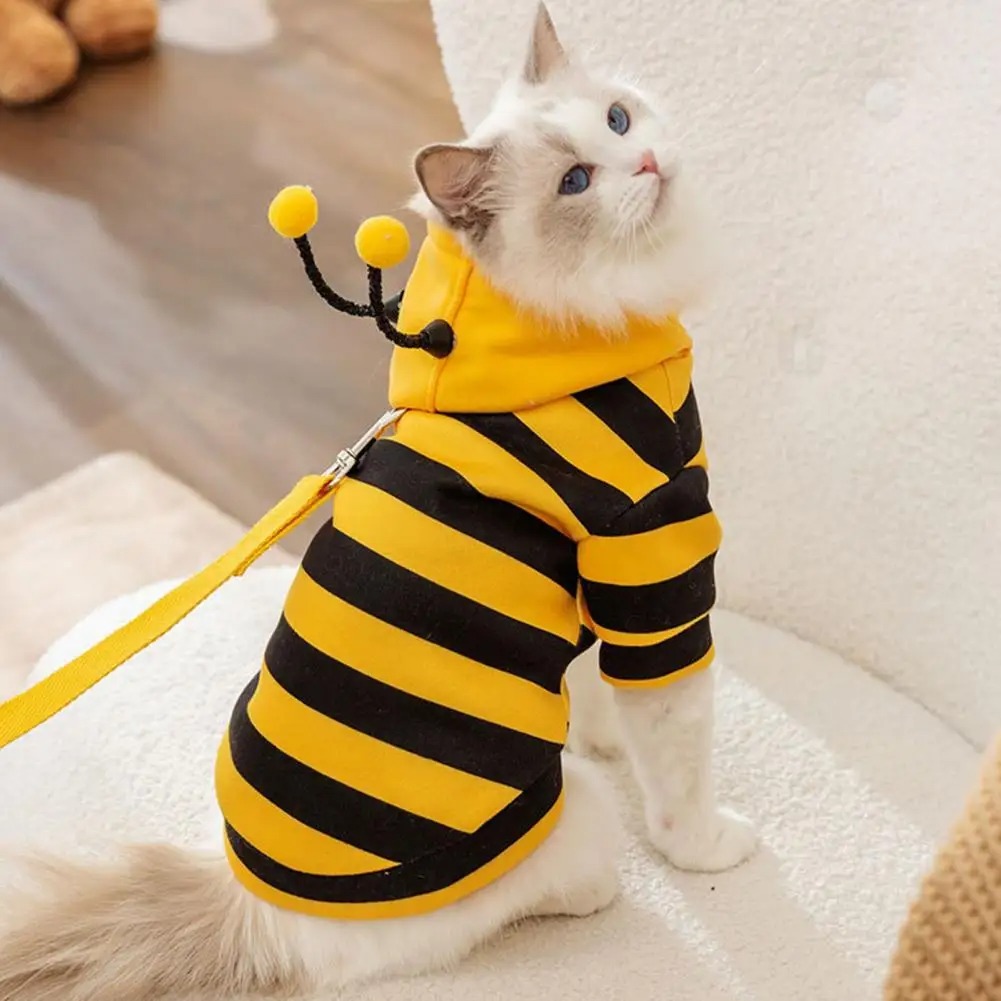 Pet Cats Clothes Kitten Stuff  - Winter Clothing Accessories reseña y precio
