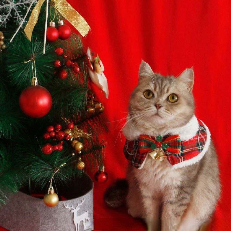 Cat Christmas Cloak Pet New Ye - Winter Clothing Accessories reseña y precio
