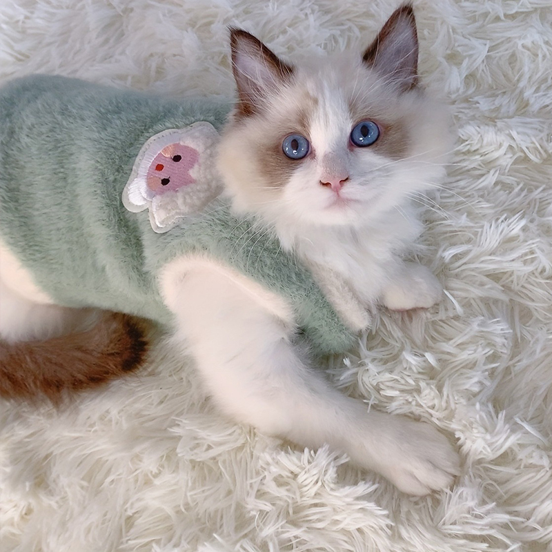 Cats Accessories Pets Warm Kit - Winter Clothing Accessories reseña y precio