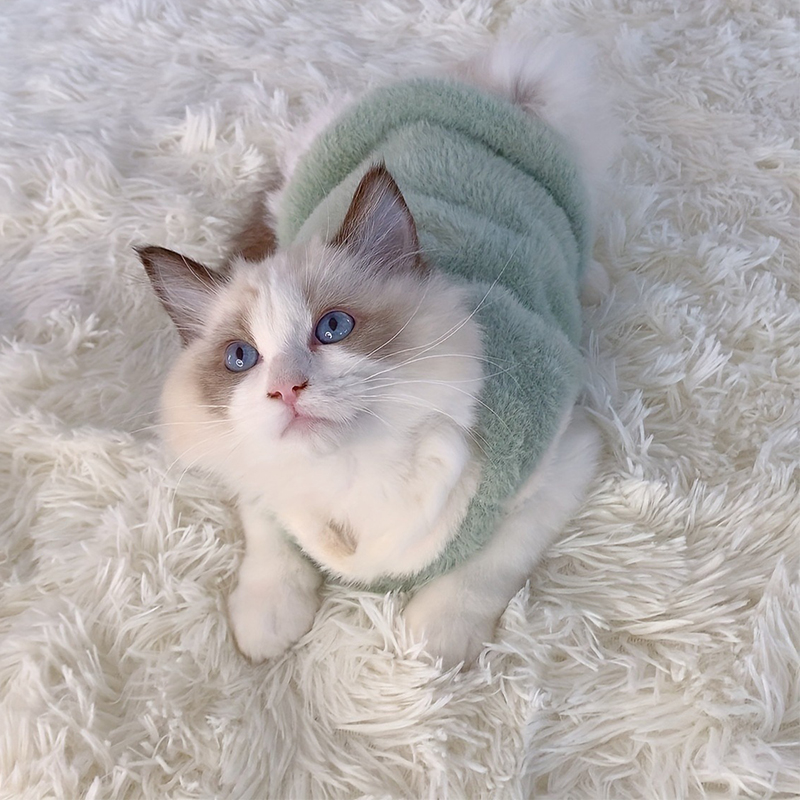 Cats Accessories Pets Warm Kit - Winter Clothing Accessories reseña y precio