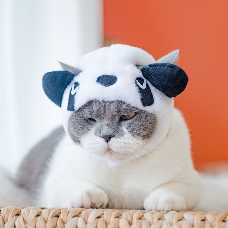 Animal Decorate Pet Cat Hat Mu - Winter Clothing Accessories reseña y precio